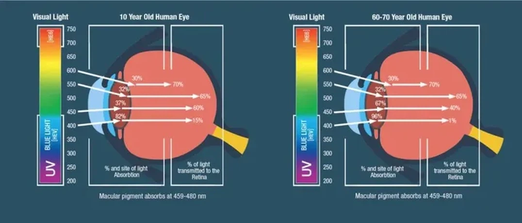 laser hazards laser hazards